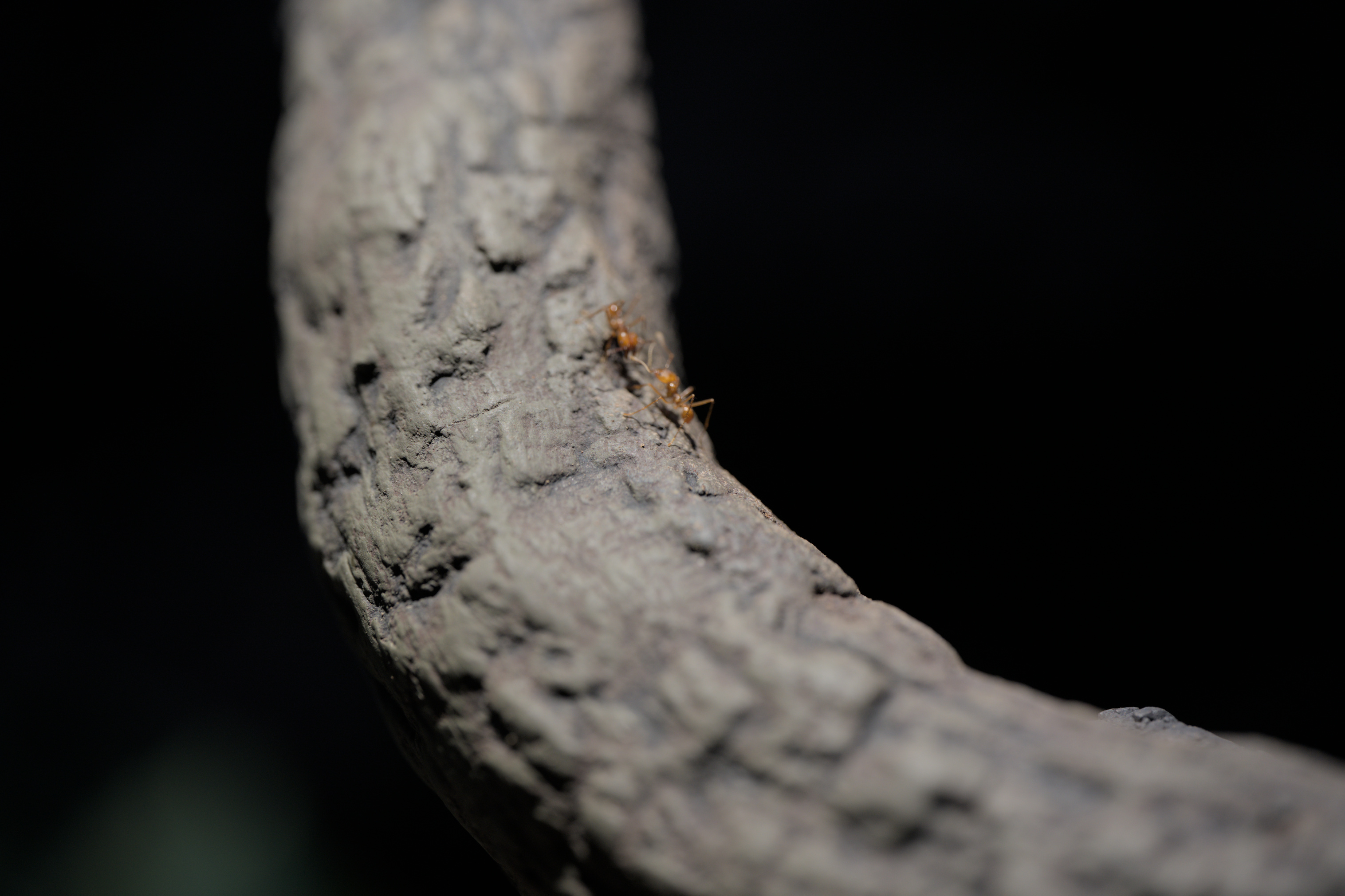 2025/10/12 - zoo/DSC_0230.jpg